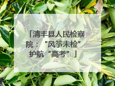 清丰县人民检察院：“风筝未检”护航“高考”