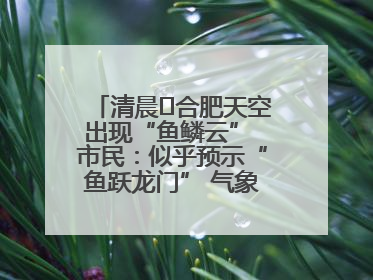 清晨﻿合肥天空出现“鱼鳞云” 市民：似乎预示“鱼跃龙门” 气象专家科普