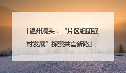 温州洞头：“片区组团强村发展”探索共富新路