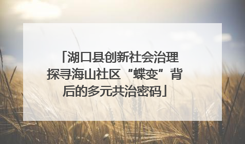 湖口县创新社会治理 探寻海山社区“蝶变”背后的多元共治密码