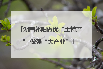 湖南祁阳做优“土特产” 做强“大产业”