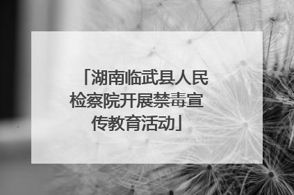 湖南临武县人民检察院开展禁毒宣传教育活动