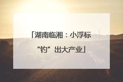 湖南临湘：小浮标“钓”出大产业