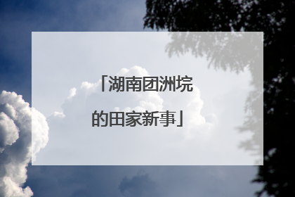 湖南团洲垸的田家新事
