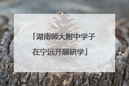 湖南师大附中学子在宁远开展研学