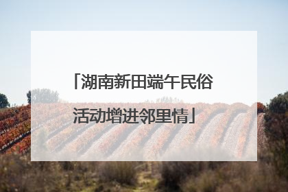 湖南新田端午民俗活动增进邻里情