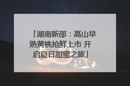 湖南新邵：高山早熟黄桃抢鲜上市 开启夏日甜蜜之旅