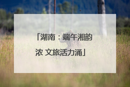 湖南：端午湘韵浓 文旅活力涌