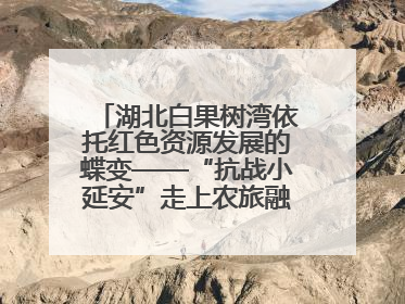 湖北白果树湾依托红色资源发展的蝶变——“抗战小延安”走上农旅融合振兴路