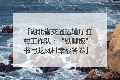 湖北省交通运输厅驻村工作队：“铁脚板”书写龙凤村幸福答卷