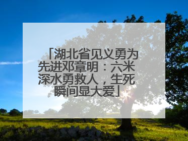 湖北省见义勇为先进邓章明：六米深水勇救人，生死瞬间显大爱