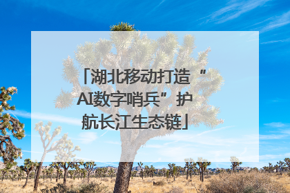 湖北移动打造“AI数字哨兵”护航长江生态链