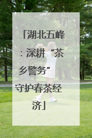 湖北五峰：深耕“茶乡警务” 守护春茶经济