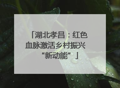 湖北孝昌：红色血脉激活乡村振兴“新动能”