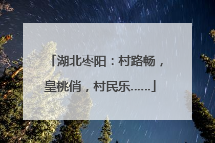 湖北枣阳：村路畅，皇桃俏，村民乐……