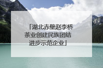 湖北赤壁赵李桥茶业创建民族团结进步示范企业