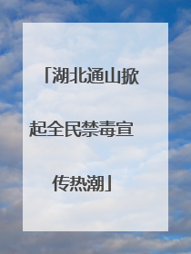 湖北通山掀起全民禁毒宣传热潮
