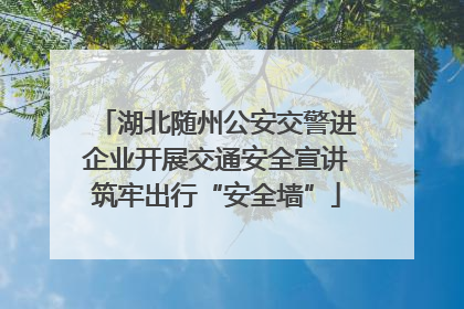 湖北随州公安交警进企业开展交通安全宣讲筑牢出行“安全墙”