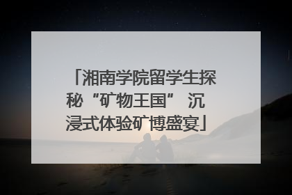 湘南学院留学生探秘“矿物王国” 沉浸式体验矿博盛宴