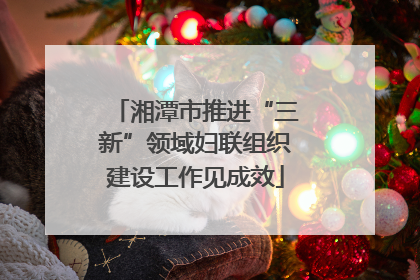 湘潭市推进“三新”领域妇联组织建设工作见成效