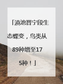 滇池晋宁段生态蝶变，鸟类从89种增至175种！
