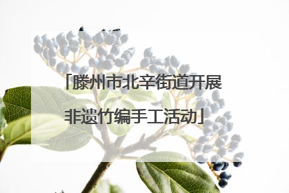 滕州市北辛街道开展非遗竹编手工活动