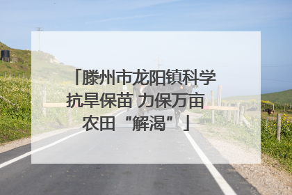 滕州市龙阳镇科学抗旱保苗 力保万亩农田“解渴”