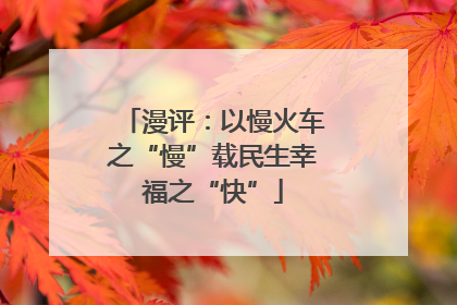 漫评：以慢火车之“慢”载民生幸福之“快”