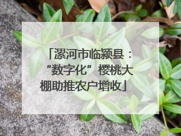 漯河市临颍县：“数字化”樱桃大棚助推农户增收