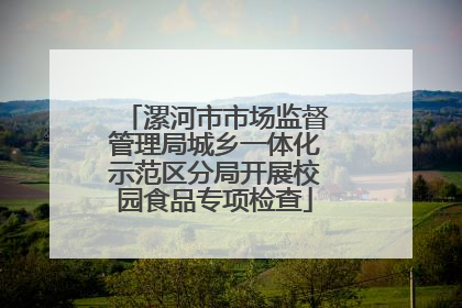 漯河市市场监督管理局城乡一体化示范区分局开展校园食品专项检查