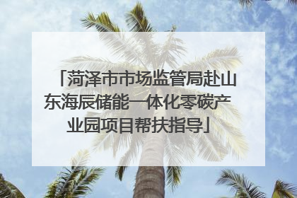 菏泽市市场监管局赴山东海辰储能一体化零碳产业园项目帮扶指导