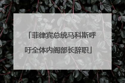 菲律宾总统马科斯呼吁全体内阁部长辞职