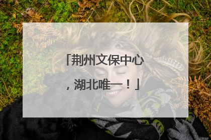 荆州文保中心，湖北唯一！