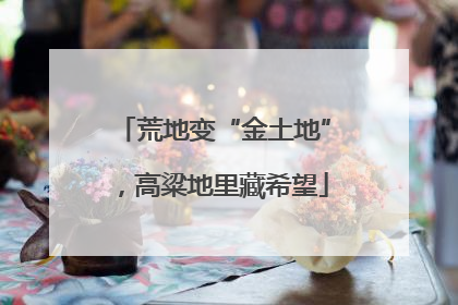 荒地变“金土地”，高粱地里藏希望