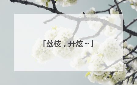 荔枝，开炫～