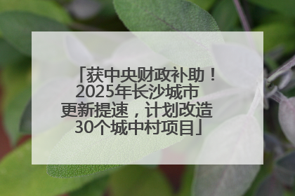 获中央财政补助！2025年长沙城市更新提速，计划改造30个城中村项目