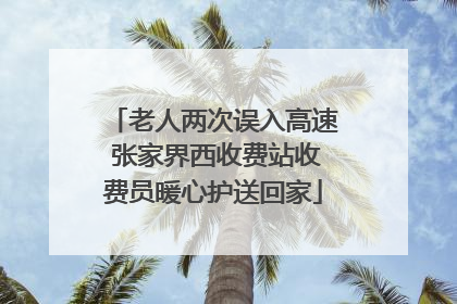 老人两次误入高速 张家界西收费站收费员暖心护送回家