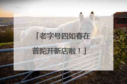 老字号四如春在普陀开新店啦！