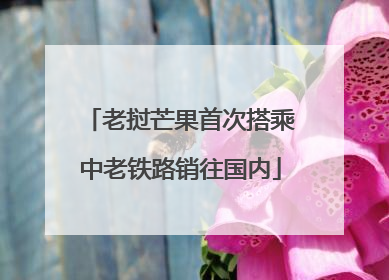 老挝芒果首次搭乘中老铁路销往国内