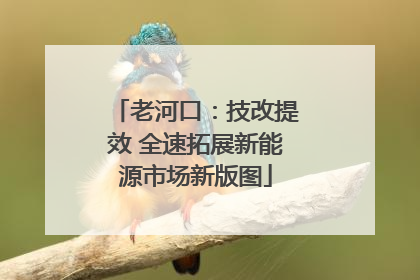 老河口：技改提效 全速拓展新能源市场新版图