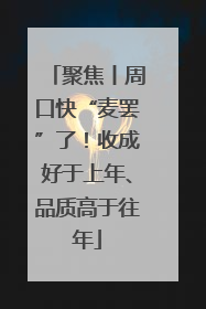 聚焦丨周口快“麦罢”了！收成好于上年、品质高于往年