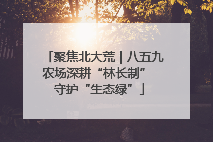 聚焦北大荒｜八五九农场深耕“林长制” 守护“生态绿”