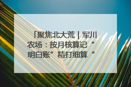 聚焦北大荒｜军川农场：按月核算记“明白账”精打细算“过紧日子”