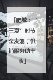 肥城：“三夏”时节金麦浪，供销服务助丰收