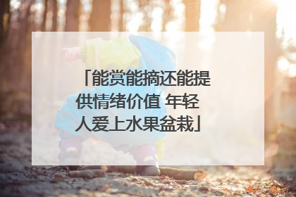 能赏能摘还能提供情绪价值 年轻人爱上水果盆栽