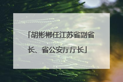 胡彬郴任江苏省副省长、省公安厅厅长