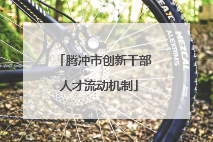 腾冲市创新干部人才流动机制