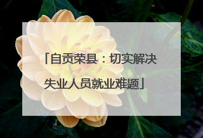自贡荣县：切实解决失业人员就业难题