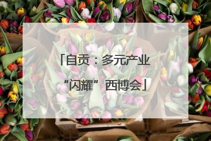 自贡：多元产业“闪耀”西博会