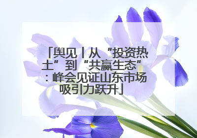 舆见丨从“投资热土”到“共赢生态”：峰会见证山东市场吸引力跃升
